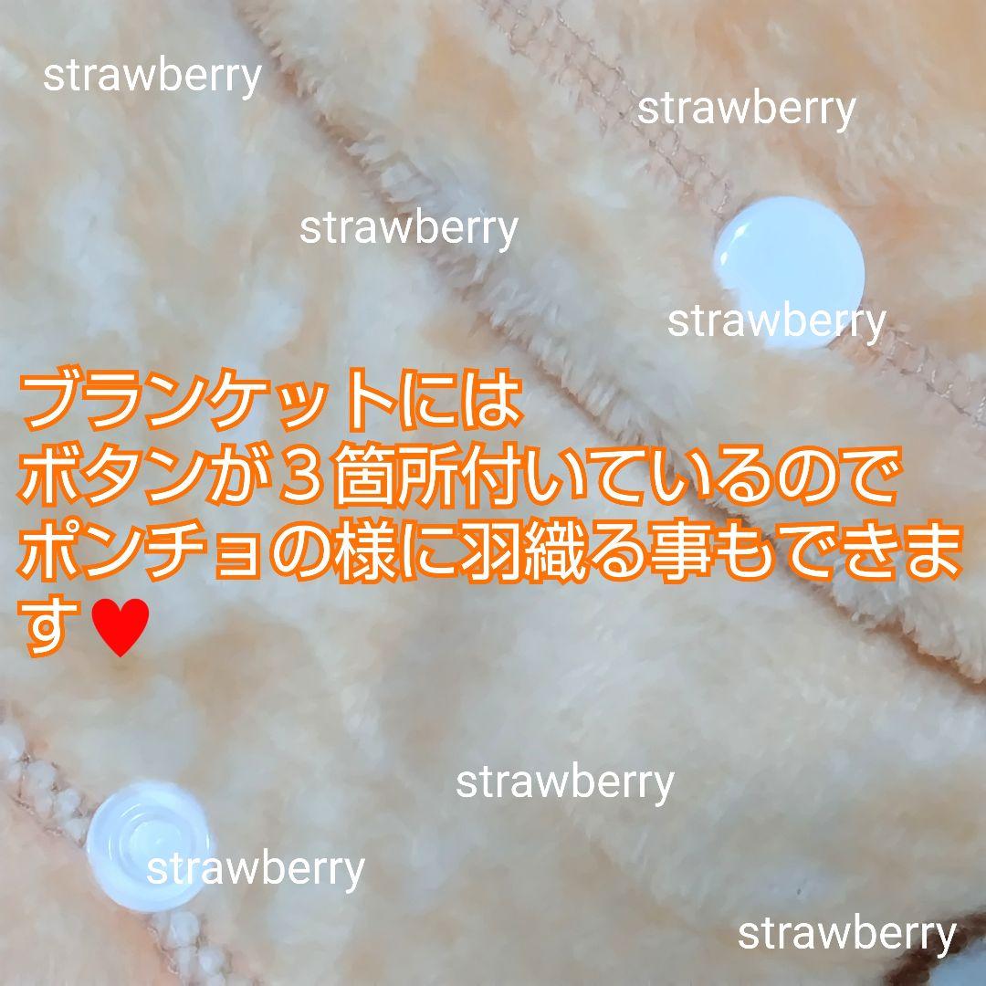 ベルリオーズ　トゥルーズ　ぬいぐるみ　ディズニー　コストコ　ブランケット