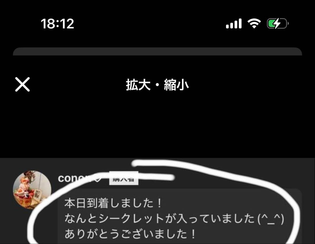 ちか専用正規品・未開封】Labubu Big into Energy 2箱