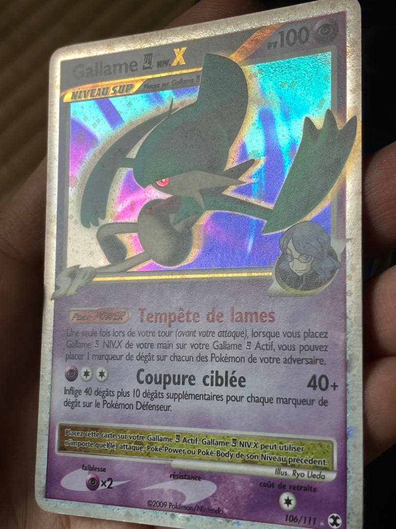 Gallame NIV. X 106/111 フランス語