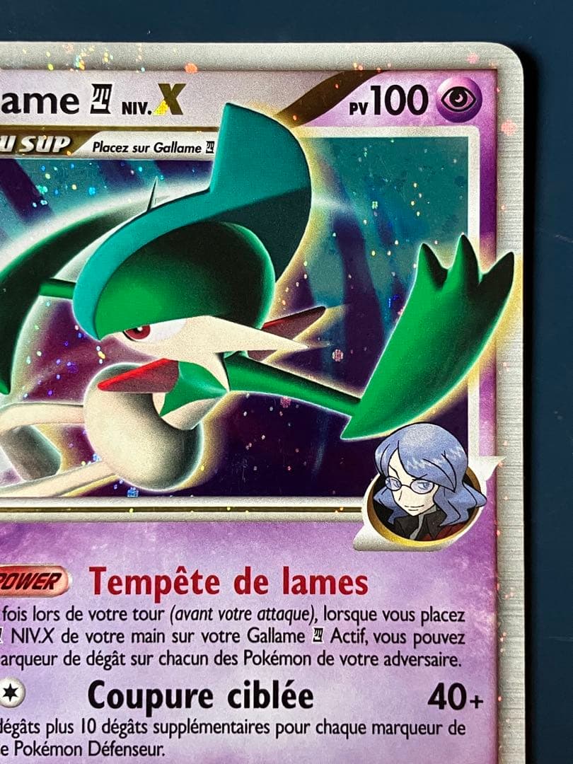 Gallame NIV. X 106/111 フランス語