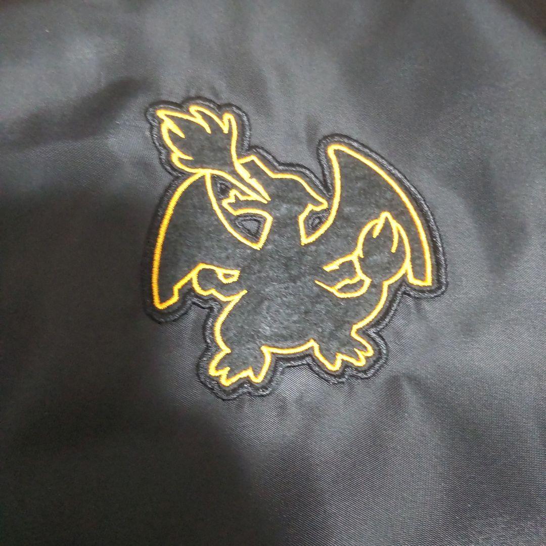 リザードン スタジャン ポケモン