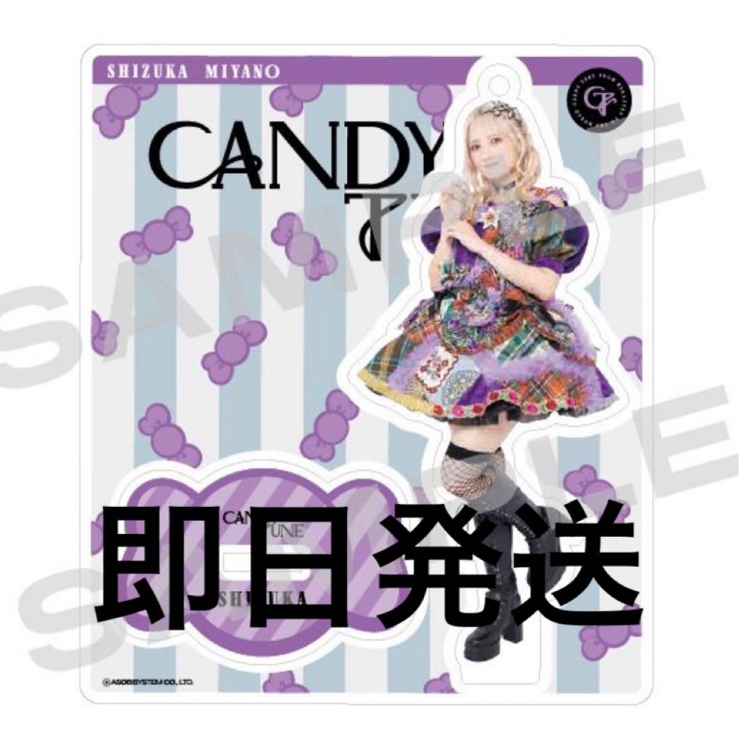本日限定価格】CANDY TUNE 宮野静 推し♡好き♡アクリルスタンド