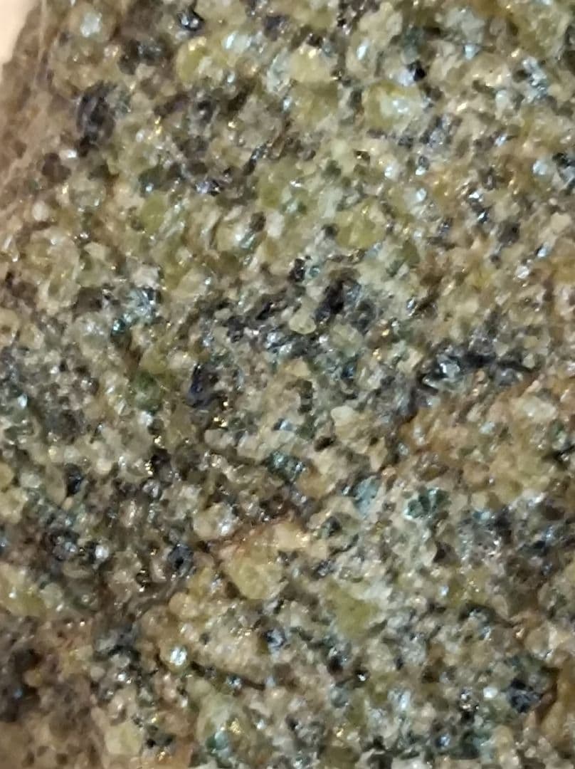 博物館級、超貴重 秋田県 一ノ目潟