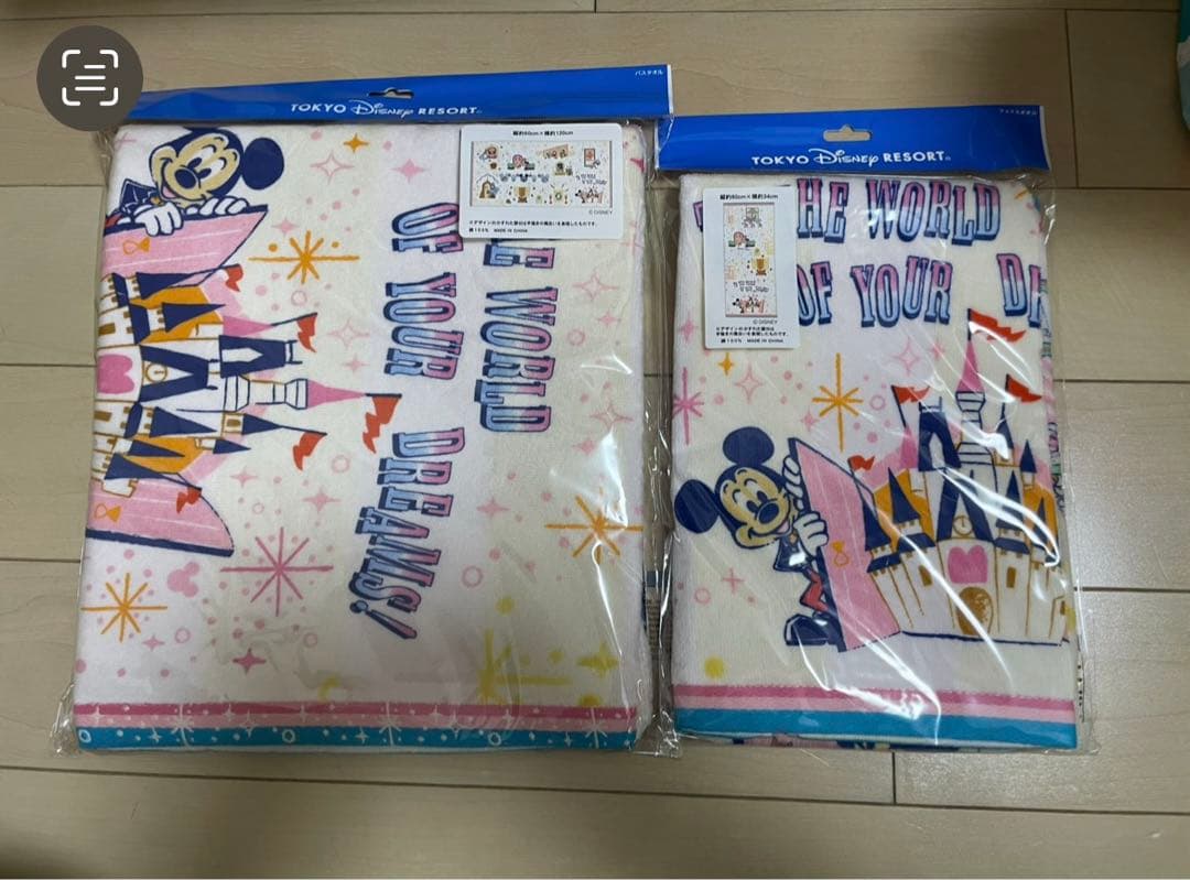 【購入前コメント必須】ディズニーリゾート☆パークドアデザイン