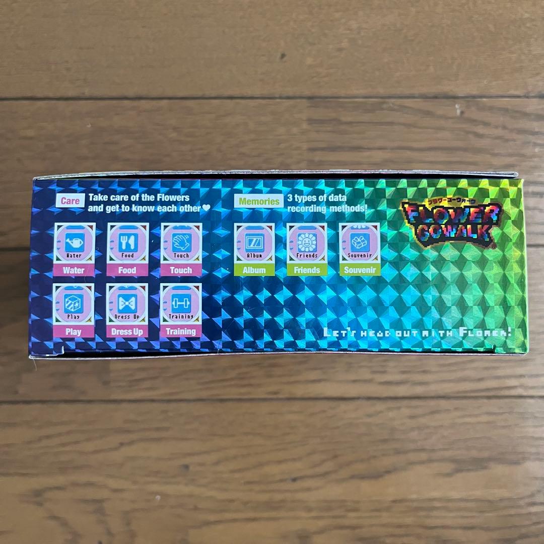 FLOWER GO WALK RAINBOW フラワーゴーウォークレインボー