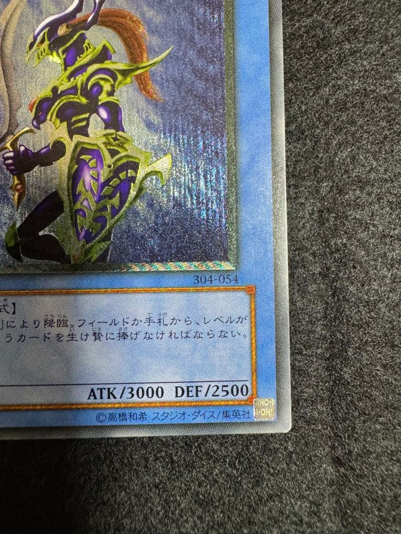 【*中様 遊戯王　カオス・ソルジャー レリーフ