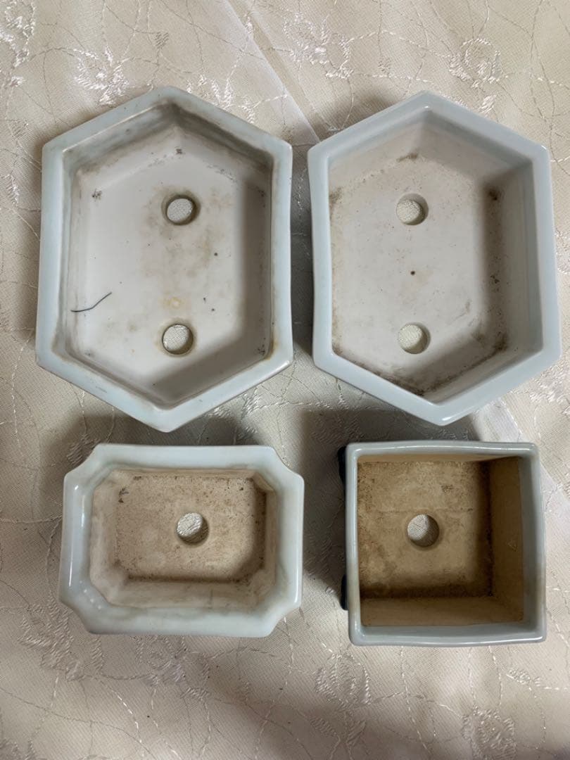 磯山4点セット　人気鉢