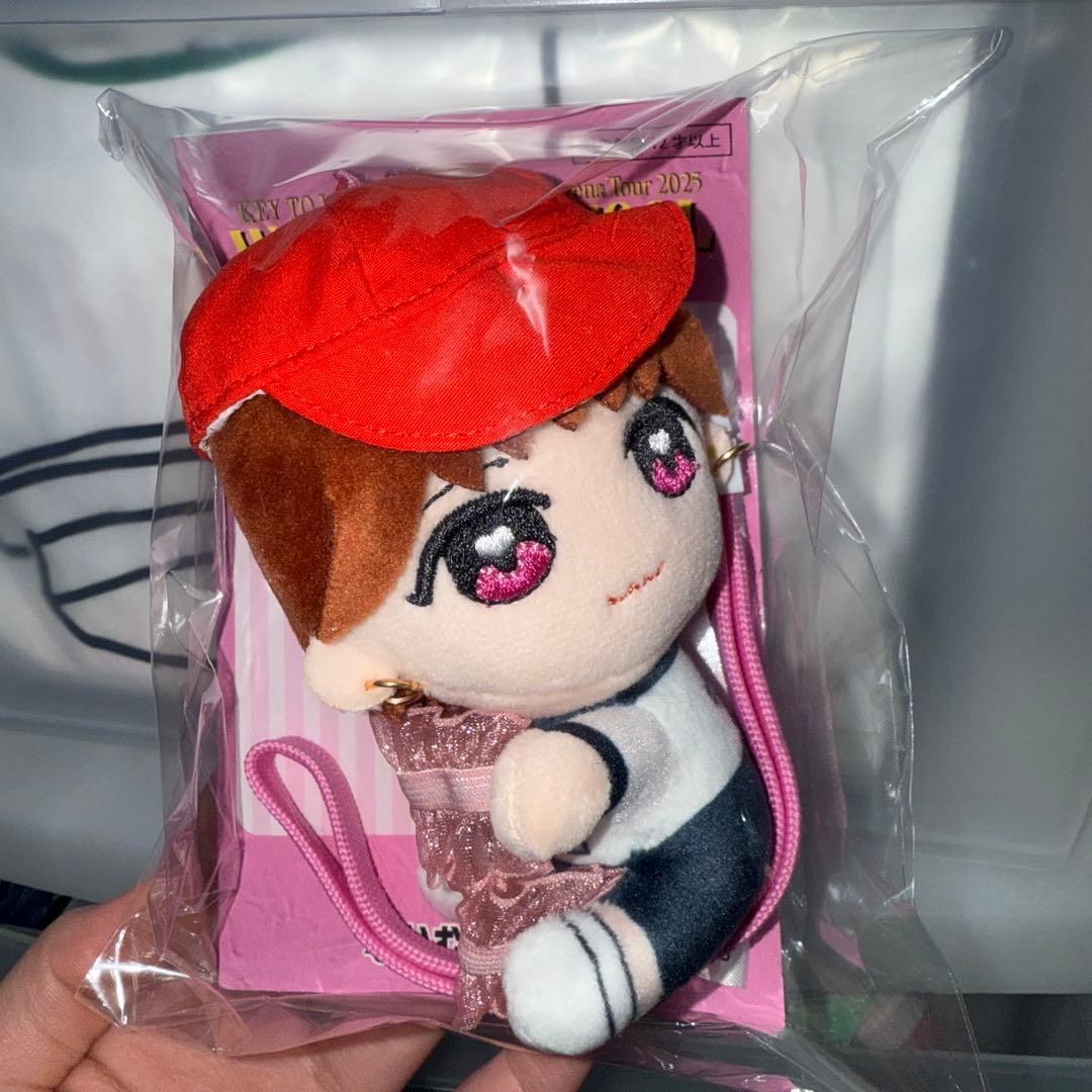 KEY TO LIT 中村嶺亜 くっつきてれつ ぬい服 オーダーページ KEY TO LIT