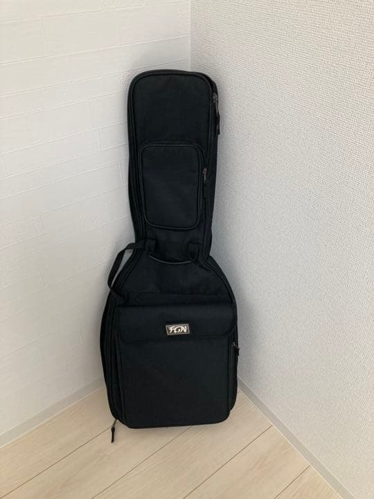 ⚠️値下げ可　超美品　エレキギター　安心セット　富士弦
