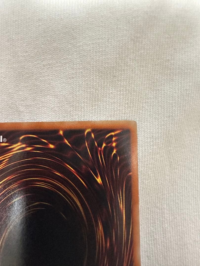 テイブラック•ローズ•ドラゴン　　ホロ