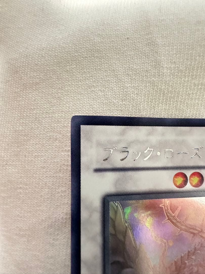 テイブラック•ローズ•ドラゴン　　ホロ