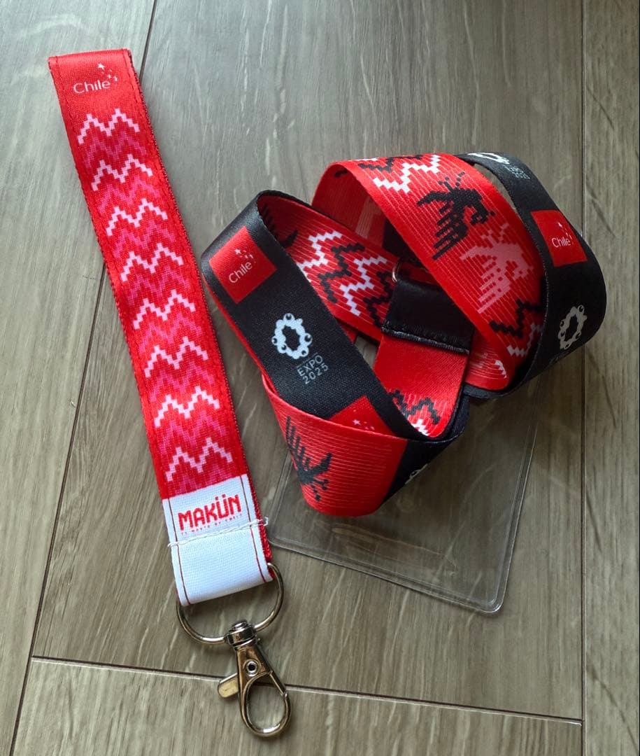 関西大阪万博EXPO2025 非売品 チリパビリオン ピンバッジ 新品9点