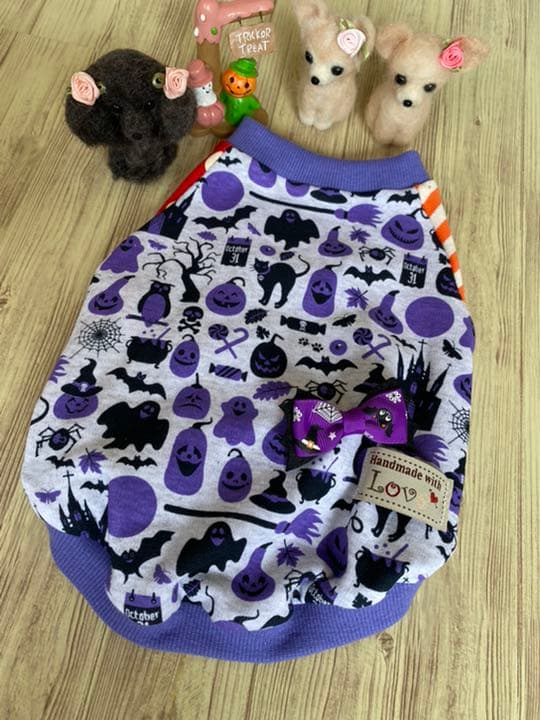 犬服 ラグラン(M) ꒡̈⃝Lily꒡̈⃝ハンドメイド ハロウィン