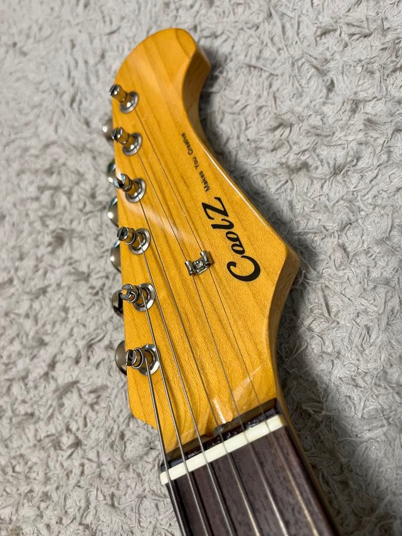 Coolz ZST-1R lPB スカパラ加藤　流木MOD