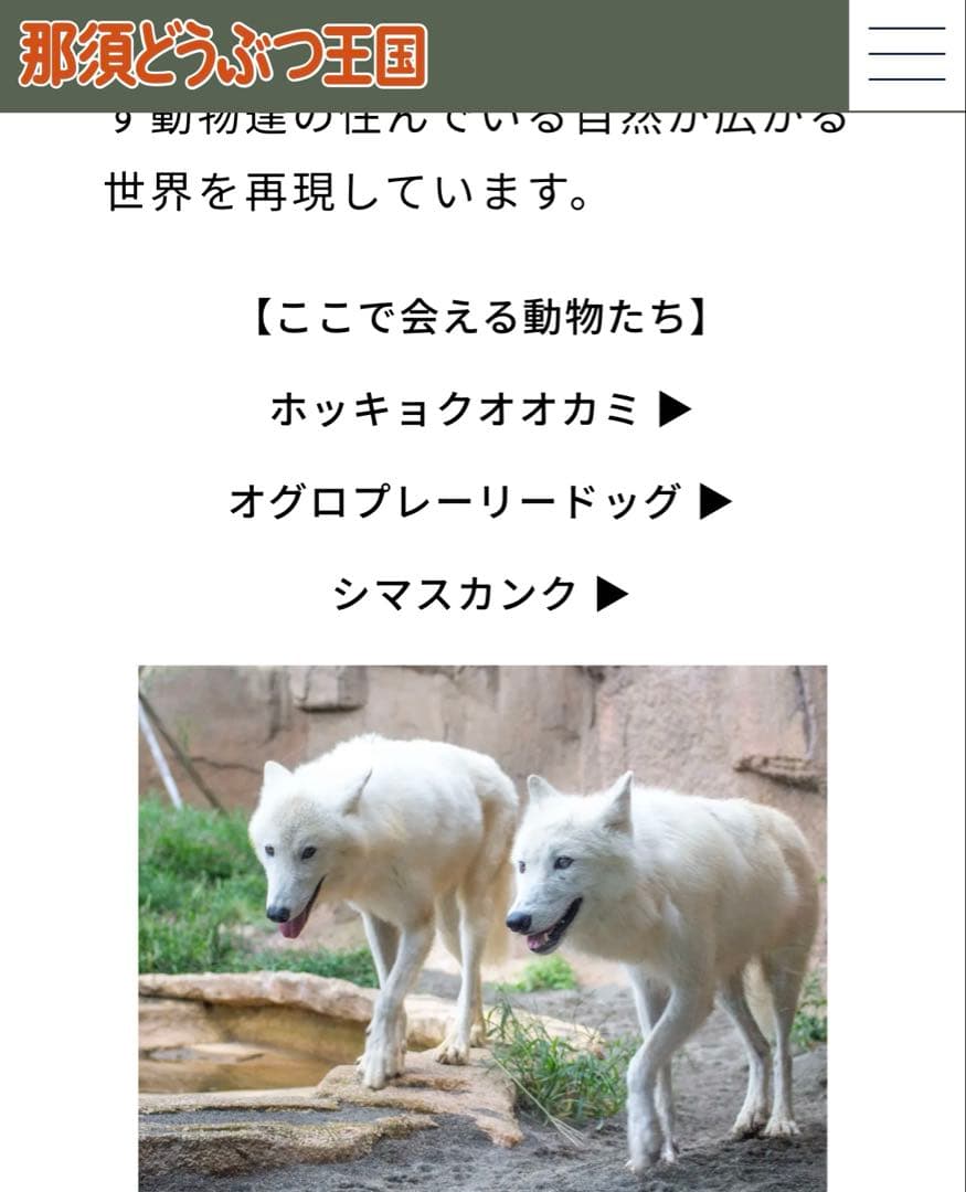 ホッキョクオオカミ ぬいぐるみ 那須どうぶつ王国　Sサイズ