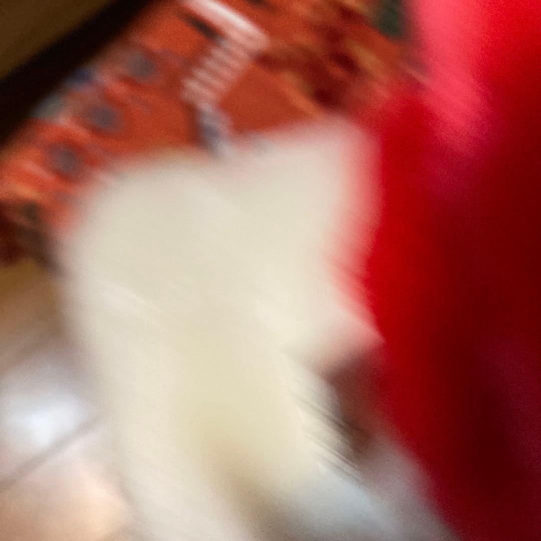 クリスマス　マフラー　ミッキー&ミニーマウス　ディズニーリゾート