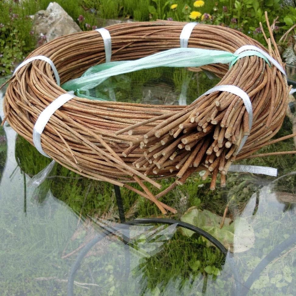 sonarcat　青森岩木山採取　あけび蔓　150cm～ 1kg