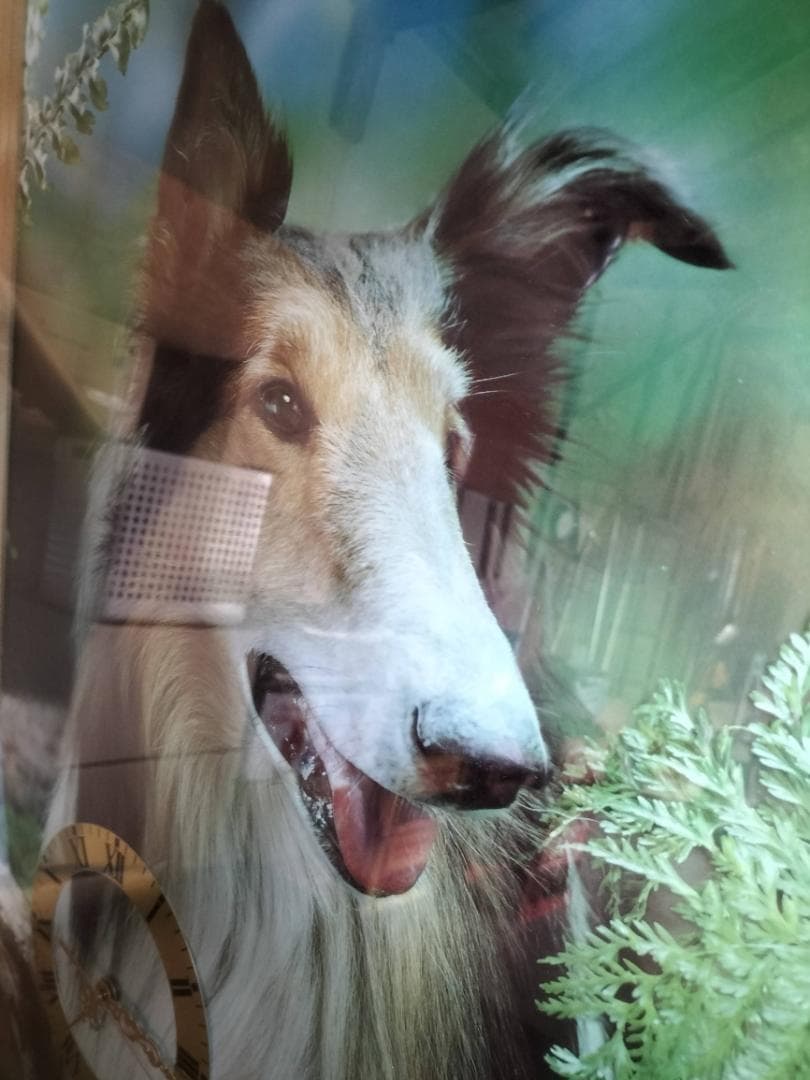 ラフコリー 立体美術時計 78.8cm×60cm 白木額縁 未使用品