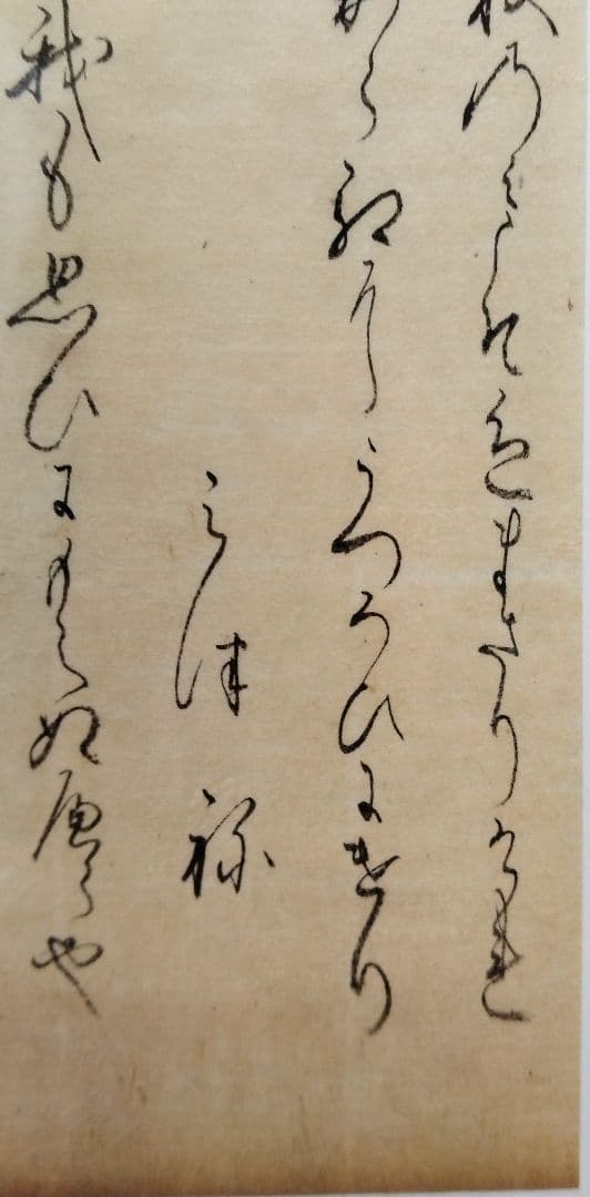 古今和歌集598〜600番☆紀貫之 凡河内躬恒 松平不昧正室所蔵