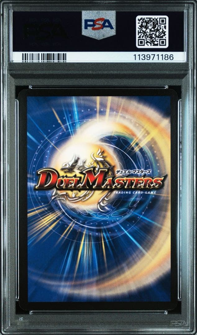 【PSA8】覇竜鳳ドルザバード