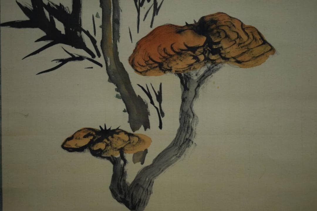 真作/三井飯山/牡丹画賛/富豪如意/布袋屋掛軸HI-106