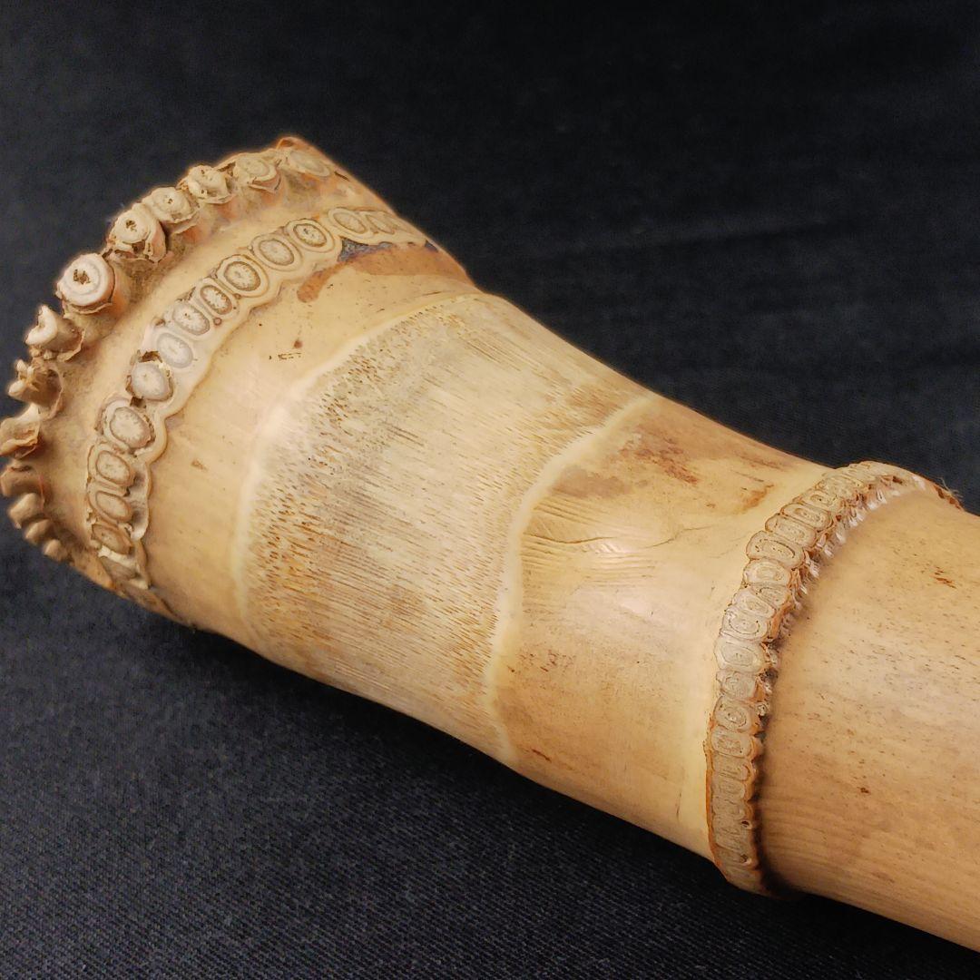 Y3110-8 琴古流 尺八 月童 銀三線 全長42.3㎝ 竹製 - メルカリ