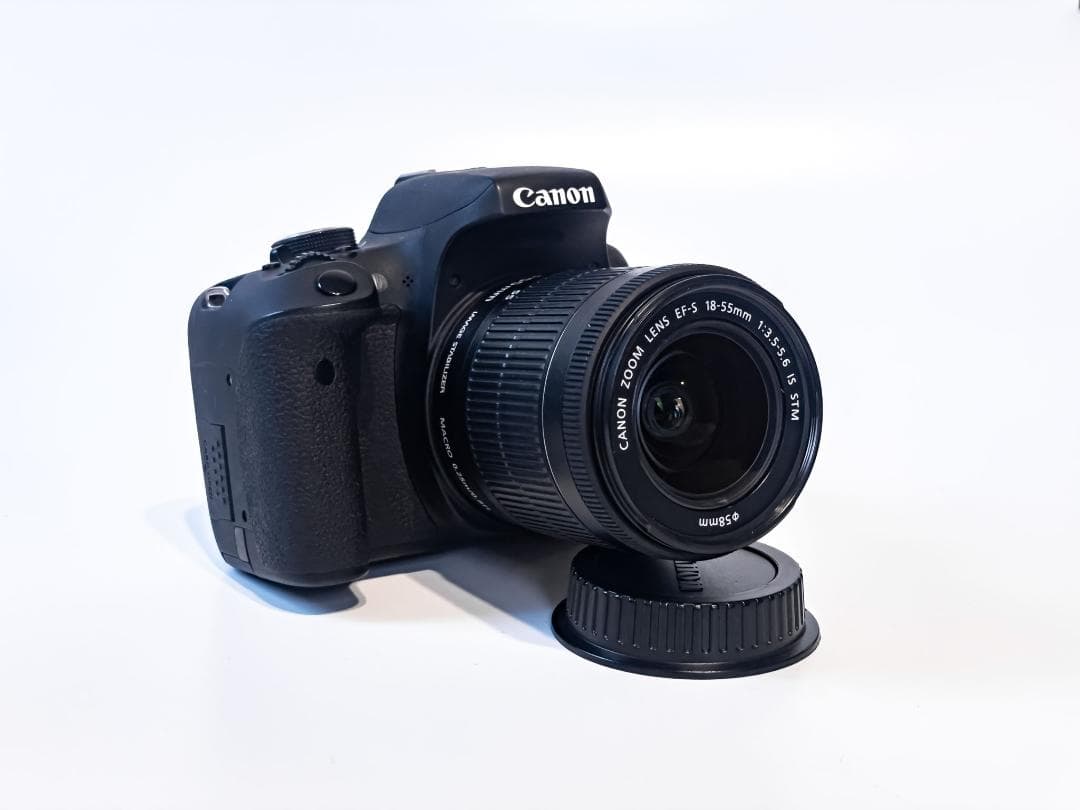 MS-OPTICS 宮崎光学 ELNOMAXIM 1.2/55 エルノマキシム黒 MS-OPTICS