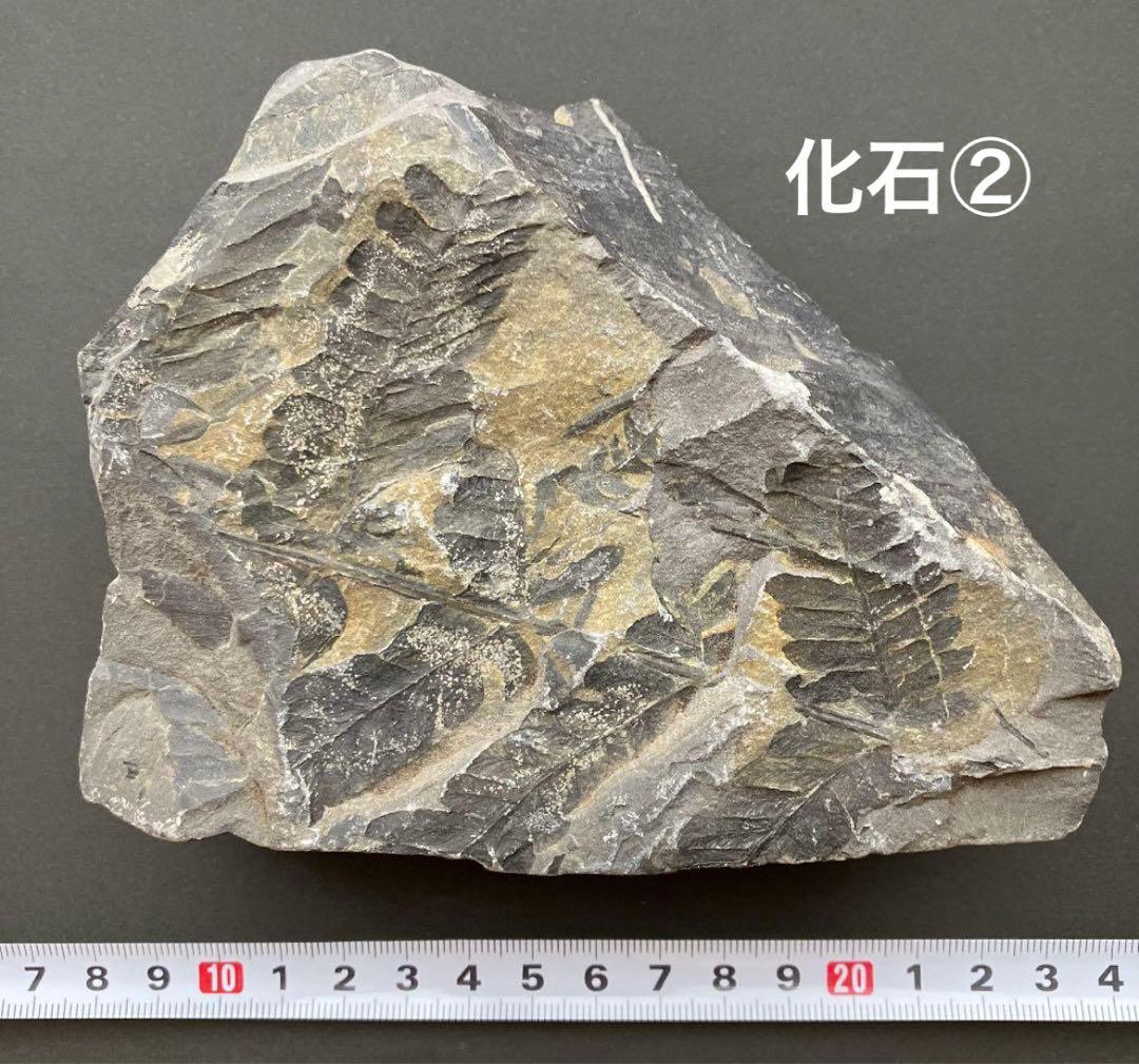 enoi jellygel ストーンMIX42粒（説明をご確認ください） enoi