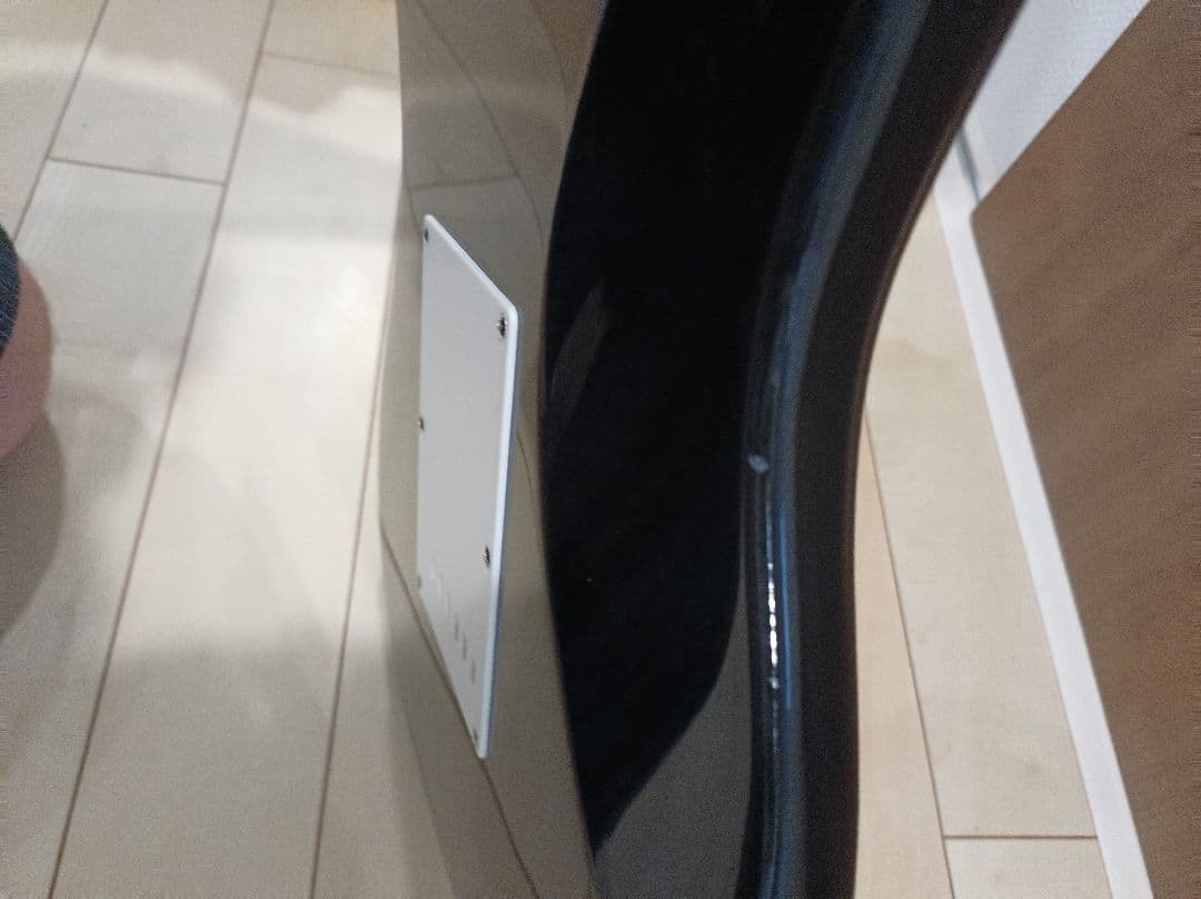 Bacchus エレキギター ストラトキャスタータイプ ブラック