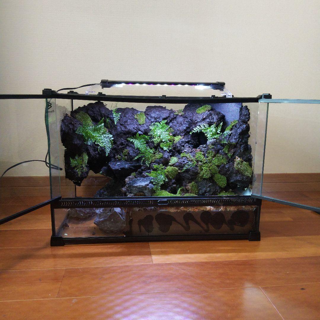 受注生産】アクアテラリウム カニリウム イモリウム 苔 水槽 苔