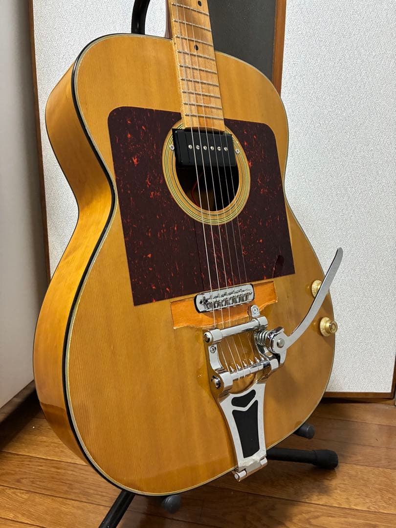 ブランド,モデル名不明 改造品 HC付 フルアコ