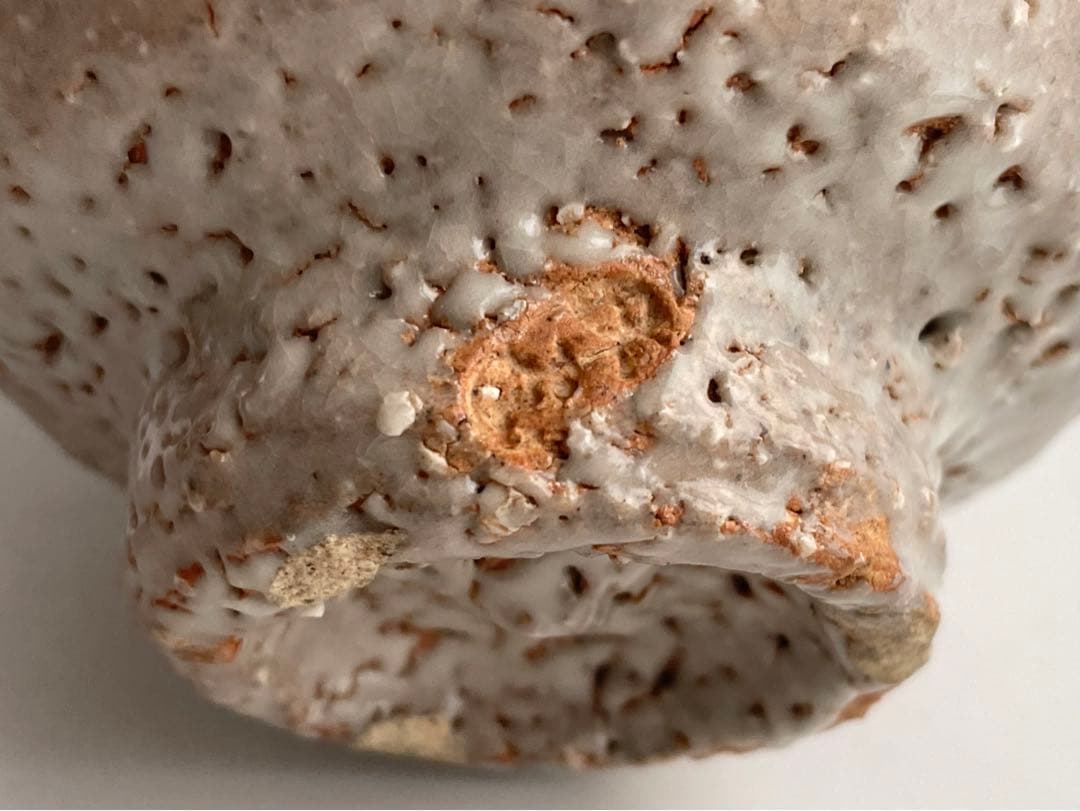 陶芸家　人間国宝　十代　三輪休雪　萩茶碗　萩焼　井戸茶碗　共箱　三輪休和