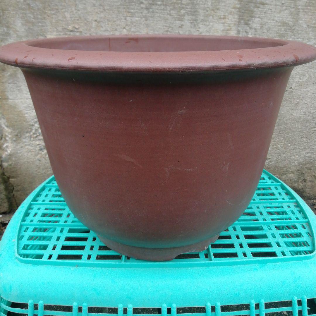 ミニ盆栽鉢、盆栽鉢、植木鉢、鉢、山野草鉢、盆栽