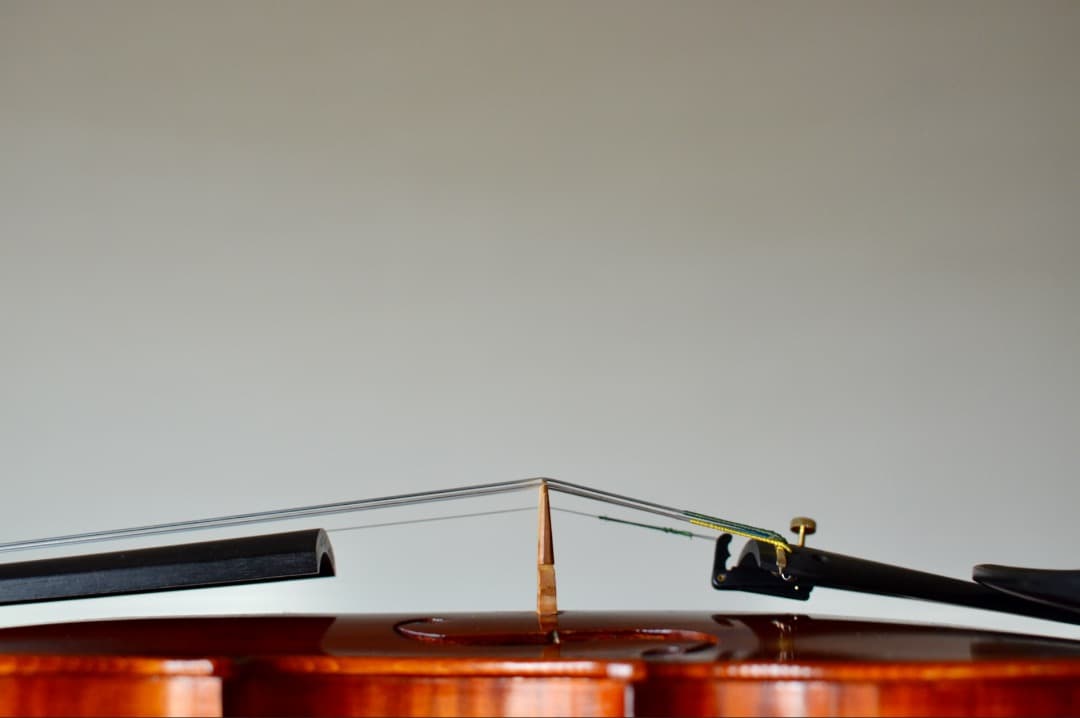 【the銘器】R.Paesold No.805 バイオリン 4/4