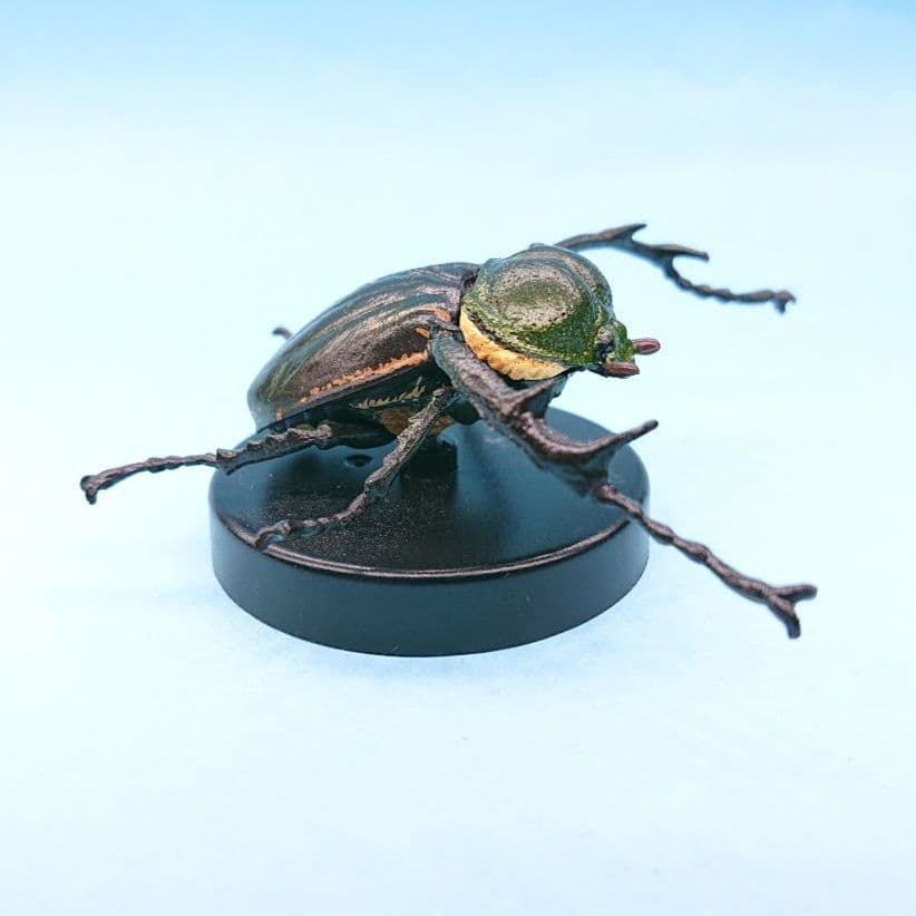 希少【海洋堂】国立科学博物館 カプセルミュージアム