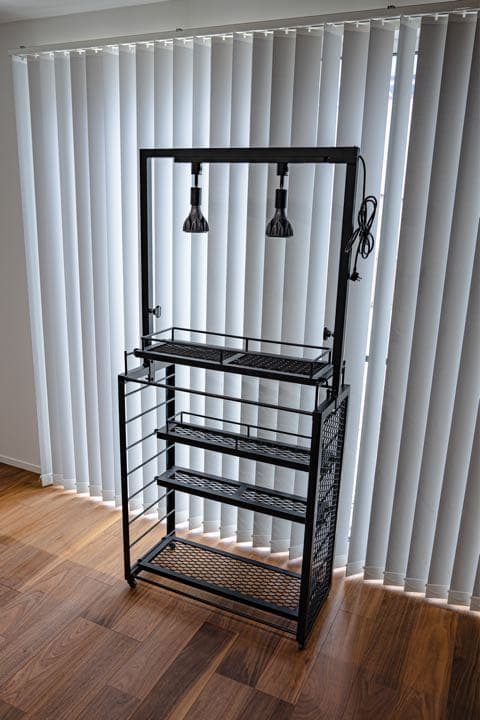 薩摩焼 錦正造 茶入 野崎正二 茶道具 共箱