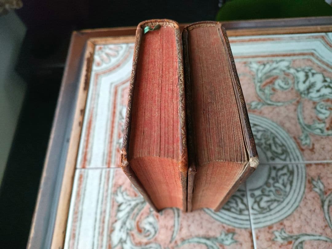 素敵なアンティーク本 2冊セット フランス ディスプレイ