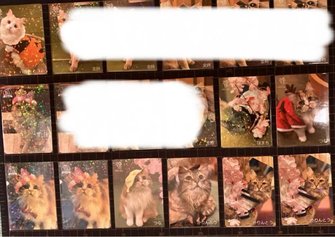 猫カフェmocha にゃんずトレカ バラ売り⭕️