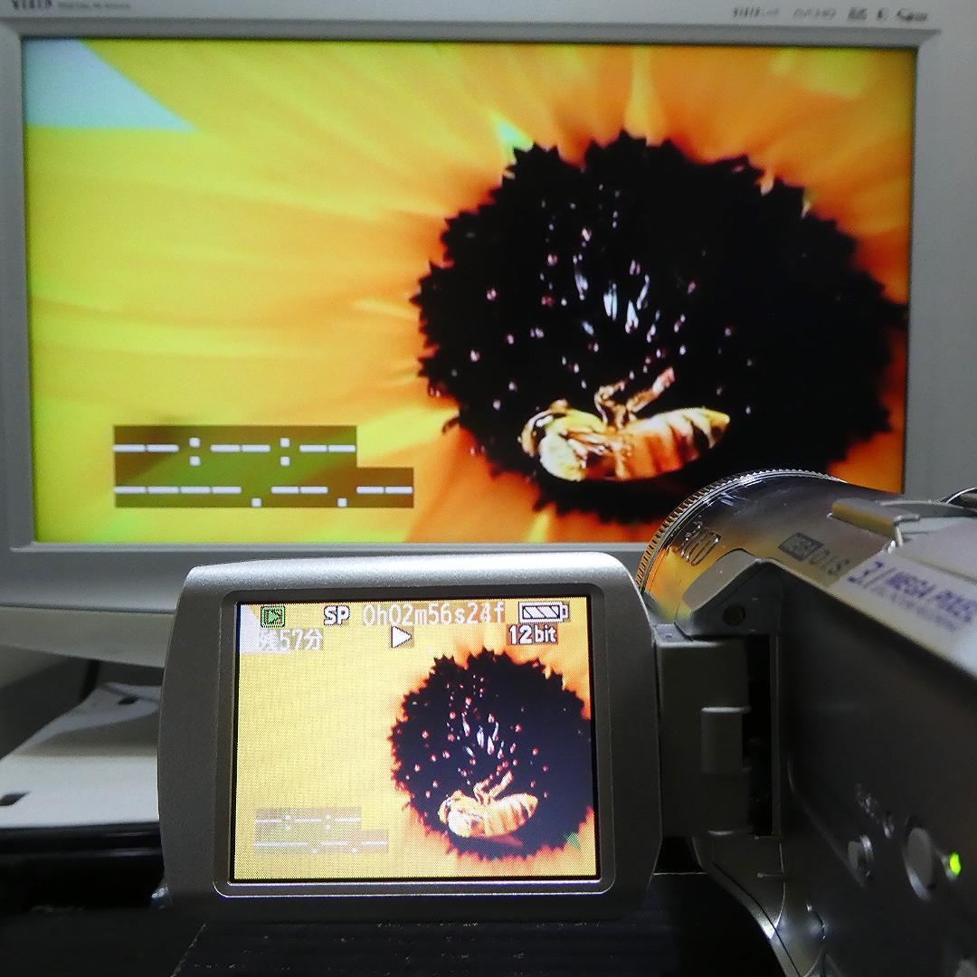 美品・動作良好 パナソニック NV-GS250 MiniDVビデオDVD化に最適