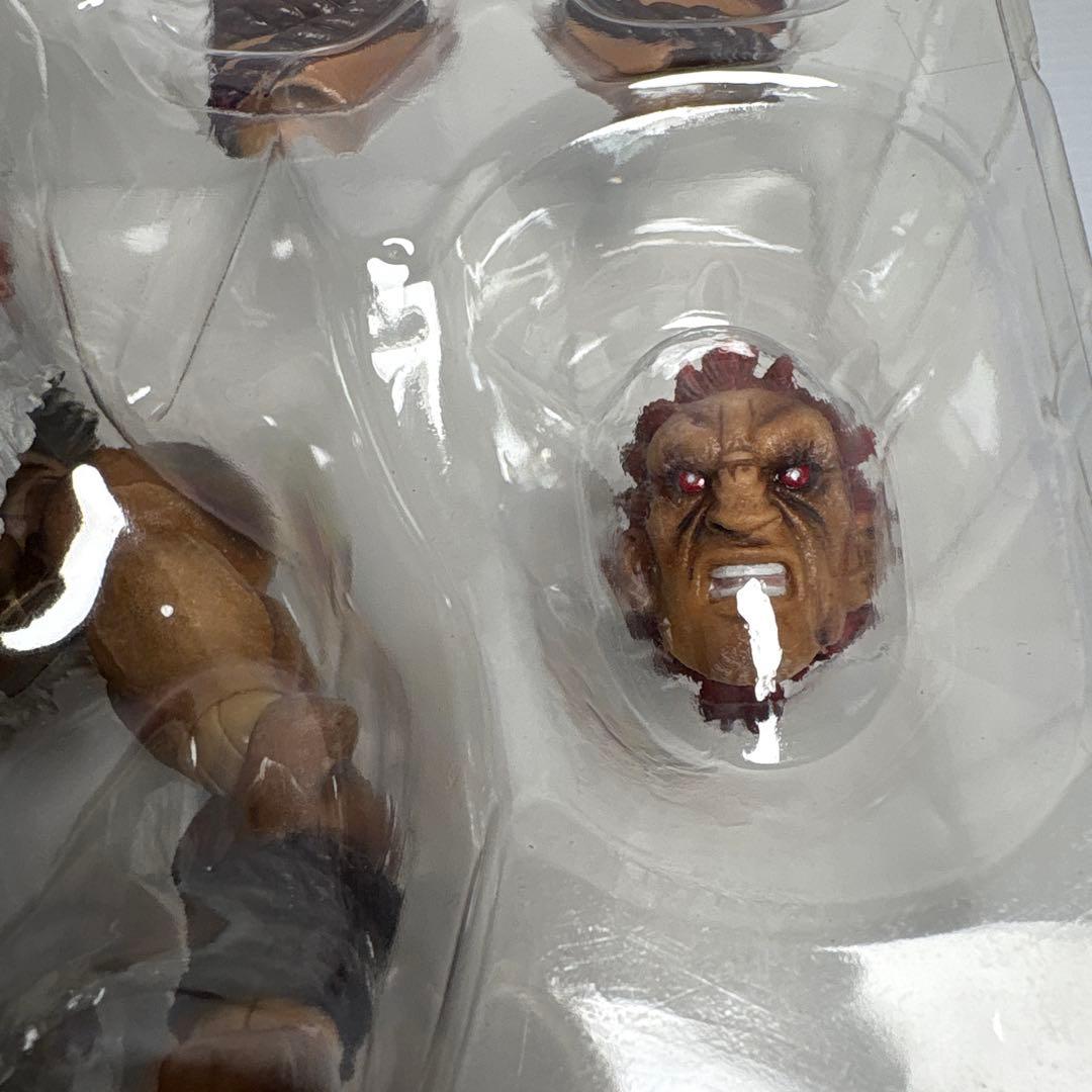 R*l様 ストリートファイターⅣ アーケードエディション プレイアーツ改