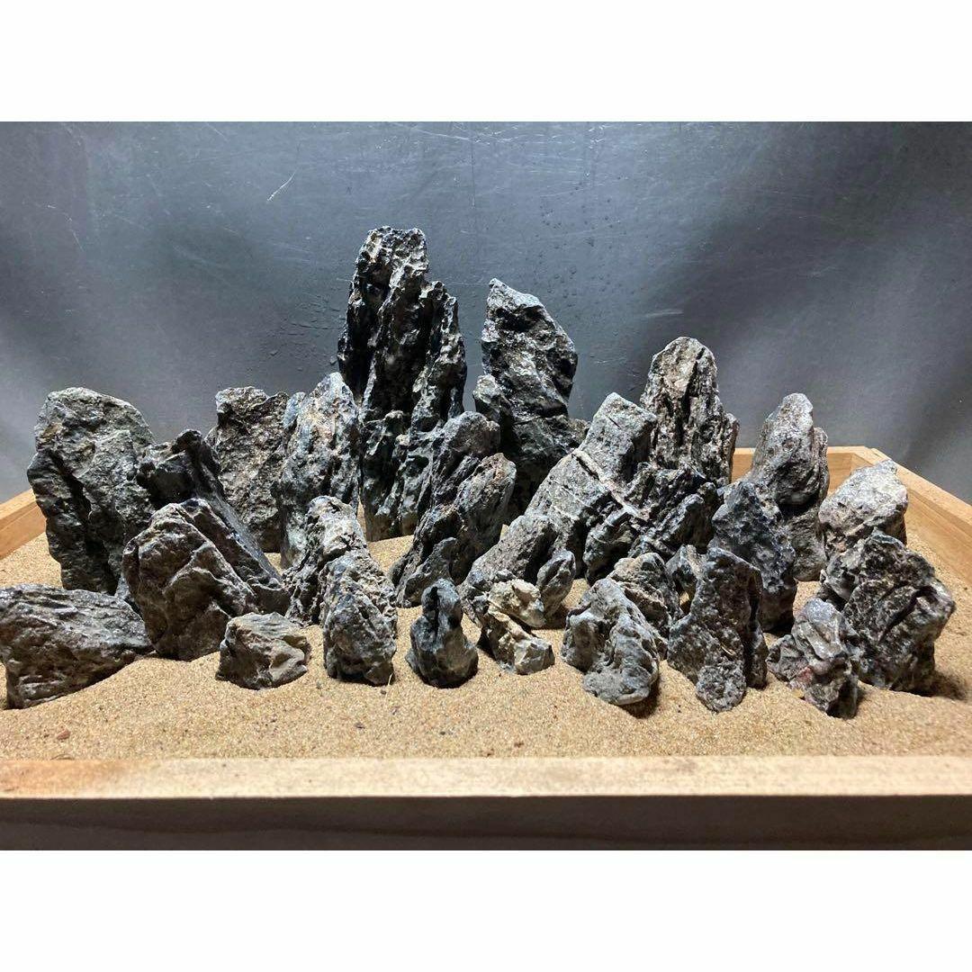 1[新品]ADA 龍王石 約4キロ☆水槽 レイアウト アクアリウム 良型 清