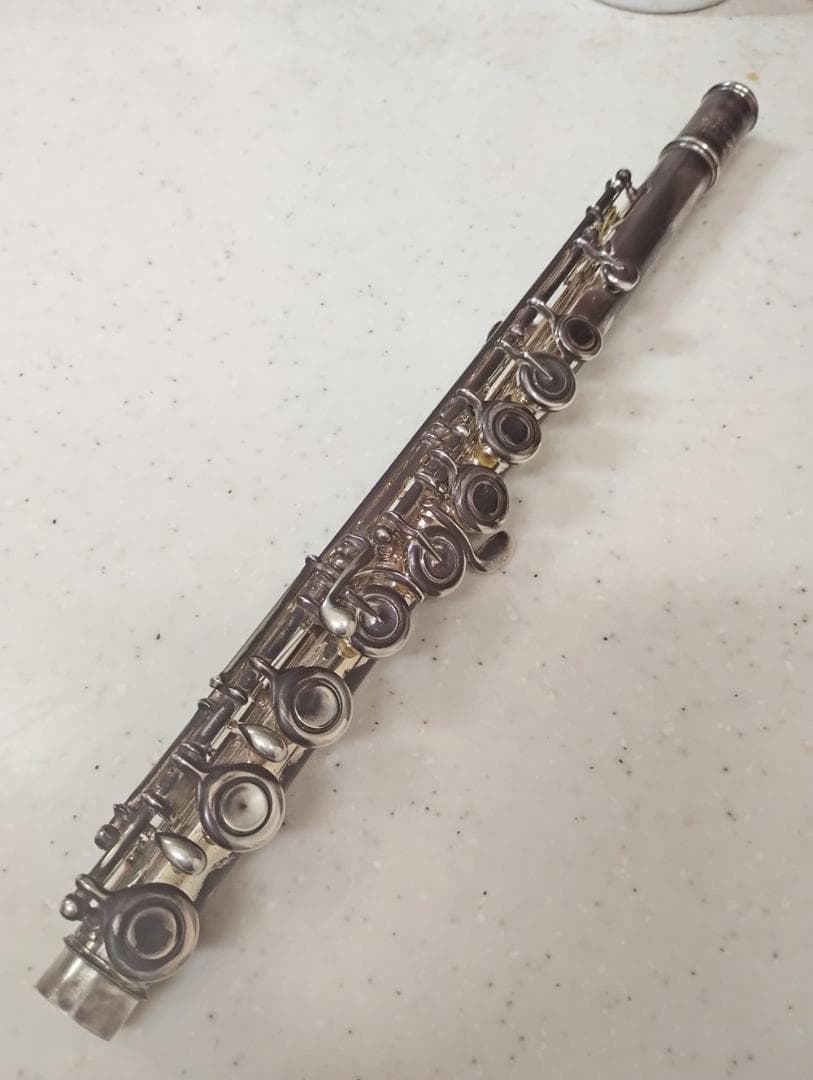 YFL 714 リッププレートGP