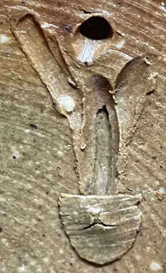 人間国宝 藤原雄 備前花入 耳付花入 備前焼 共箱 共布 栞