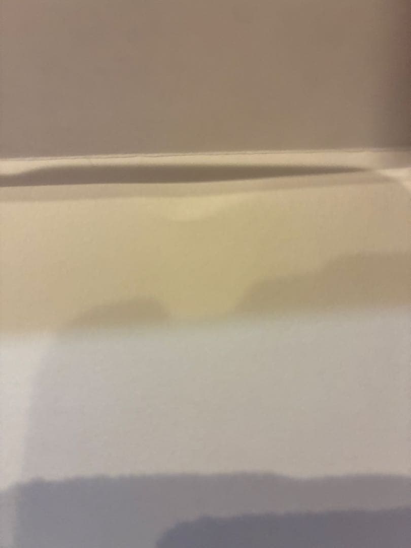 遊戯王 ブルーアイズ・ホワイト・ドラゴン 25th 東京ドーム