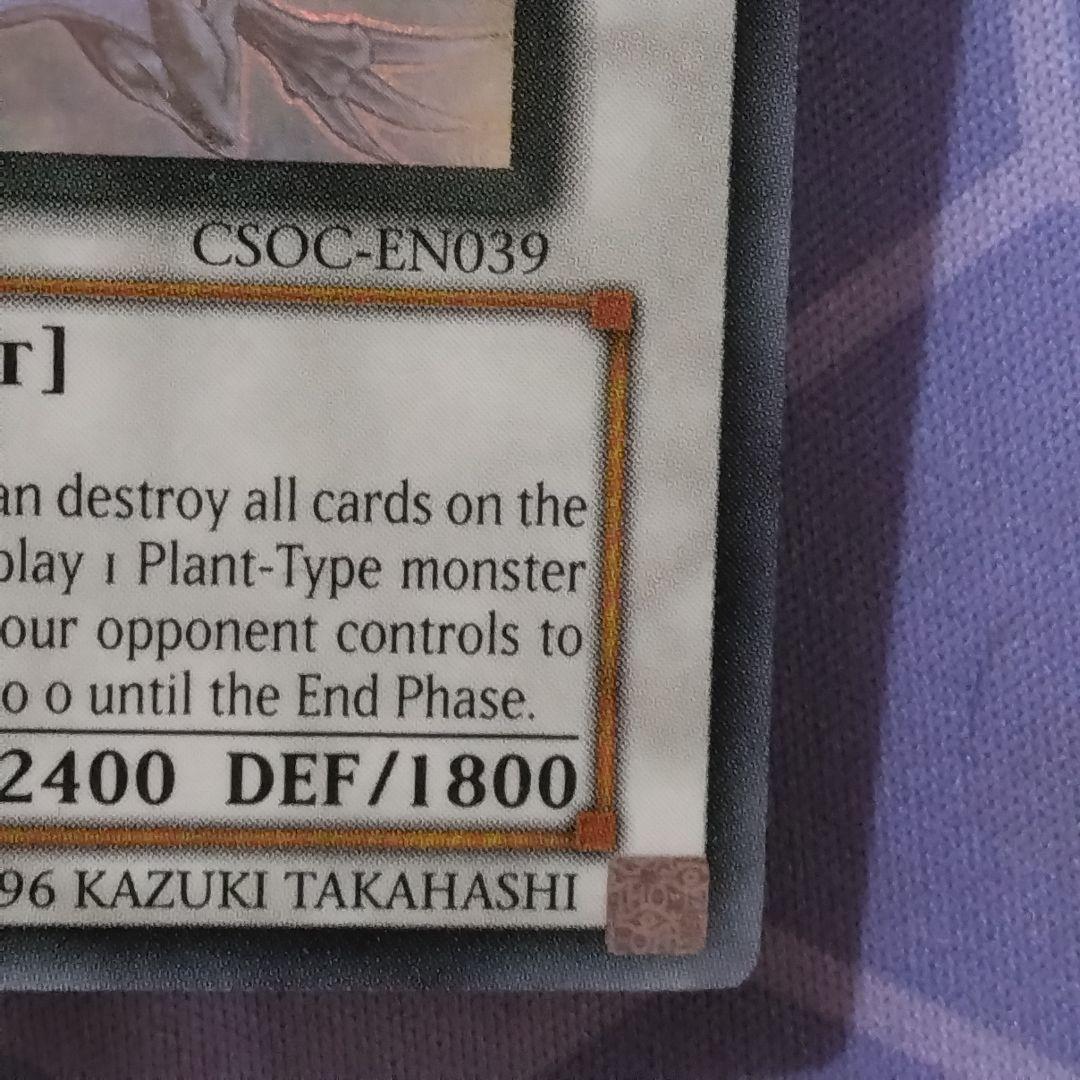 遊戯王　ブラックローズドラゴン　　英語　ゴースト　ホロ　csoc