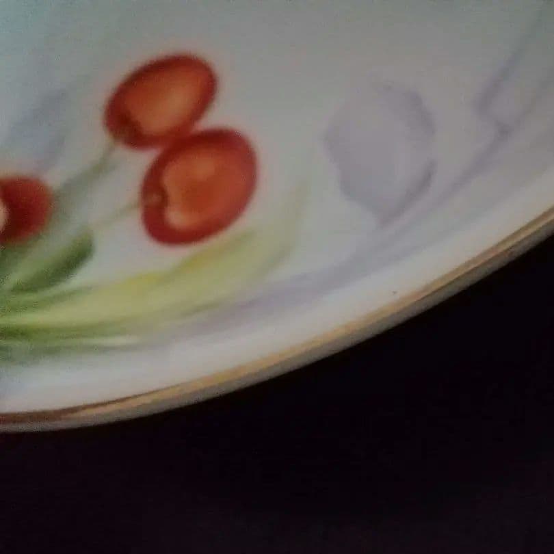 貴重なさくらんぼ絵柄鉢 オールド東洋陶器 東洋陶器 TOYOTOKI