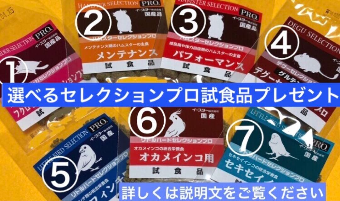 モモンガ ポーチ ハウス おうち Mサイズ ハンドメイド - メルカリ