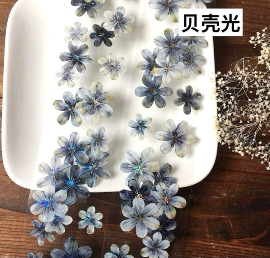 テープ・マスキングテープ OSOYA