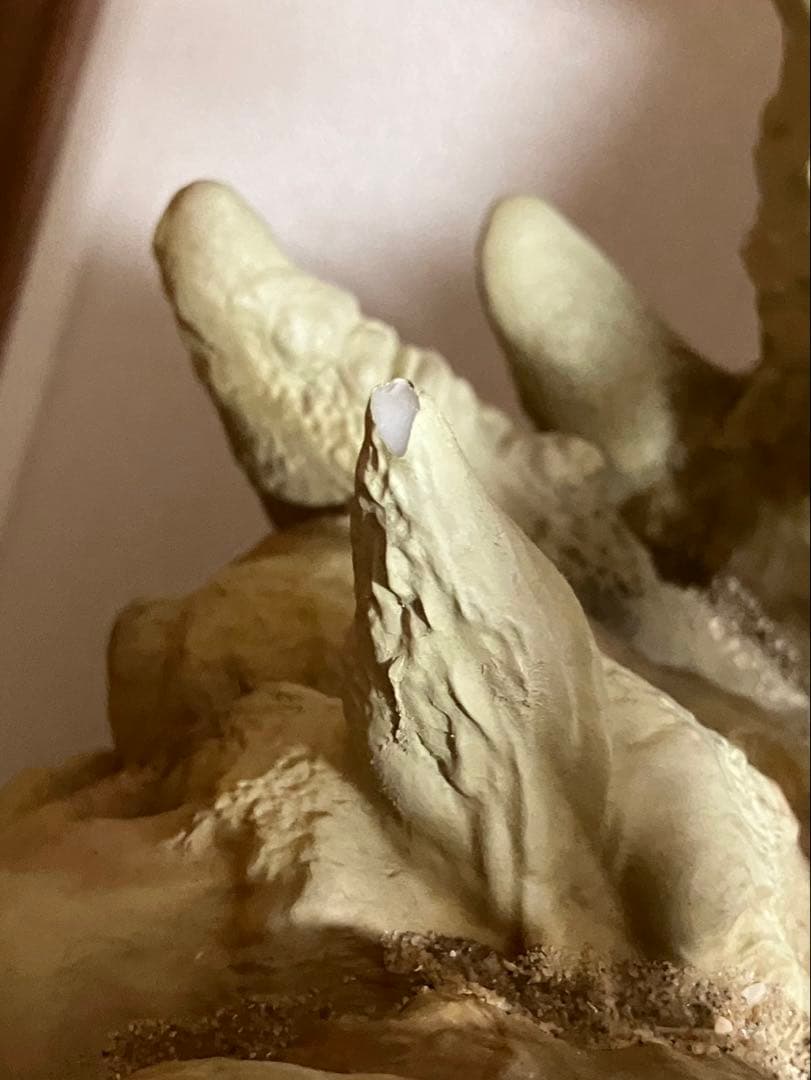 HUNTER×HUNTER ネテロ　メルエム　版権有　海外フィギュア　着払い