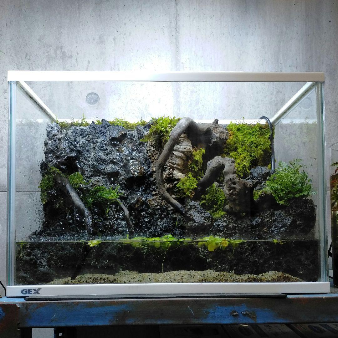 滝の流れるアクアテラリウムイモリウムNo.1065